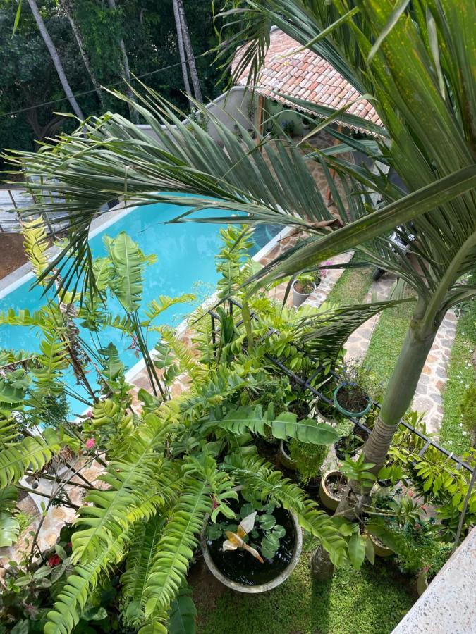 Bouganvilla House أونا واتونا المظهر الخارجي الصورة