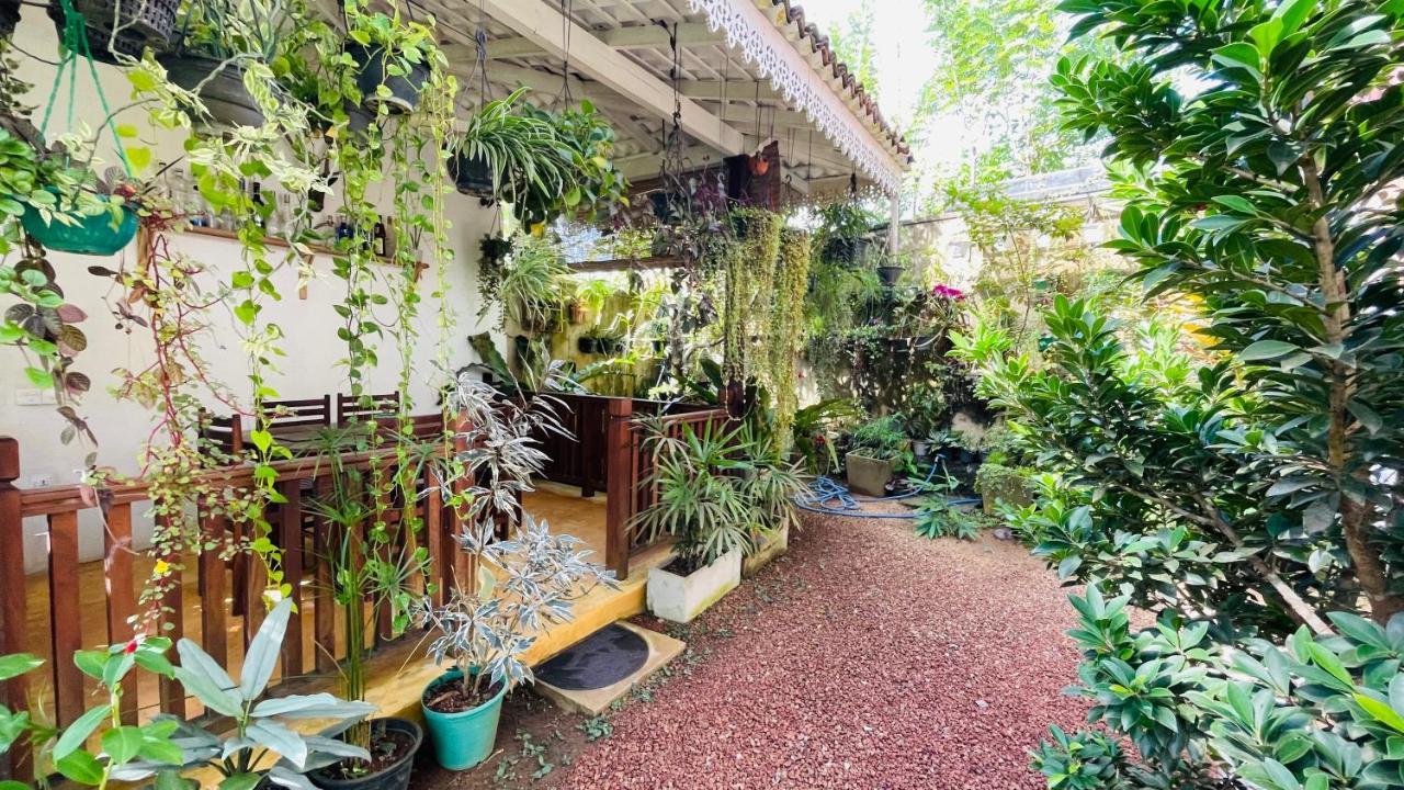 Bouganvilla House أونا واتونا المظهر الخارجي الصورة
