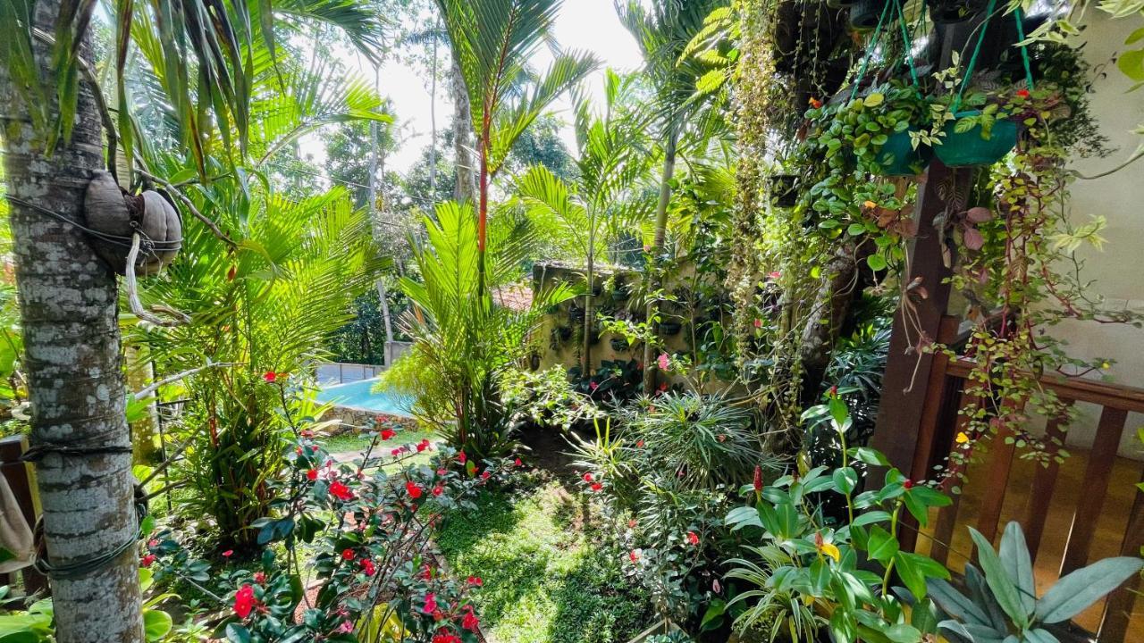 Bouganvilla House أونا واتونا المظهر الخارجي الصورة