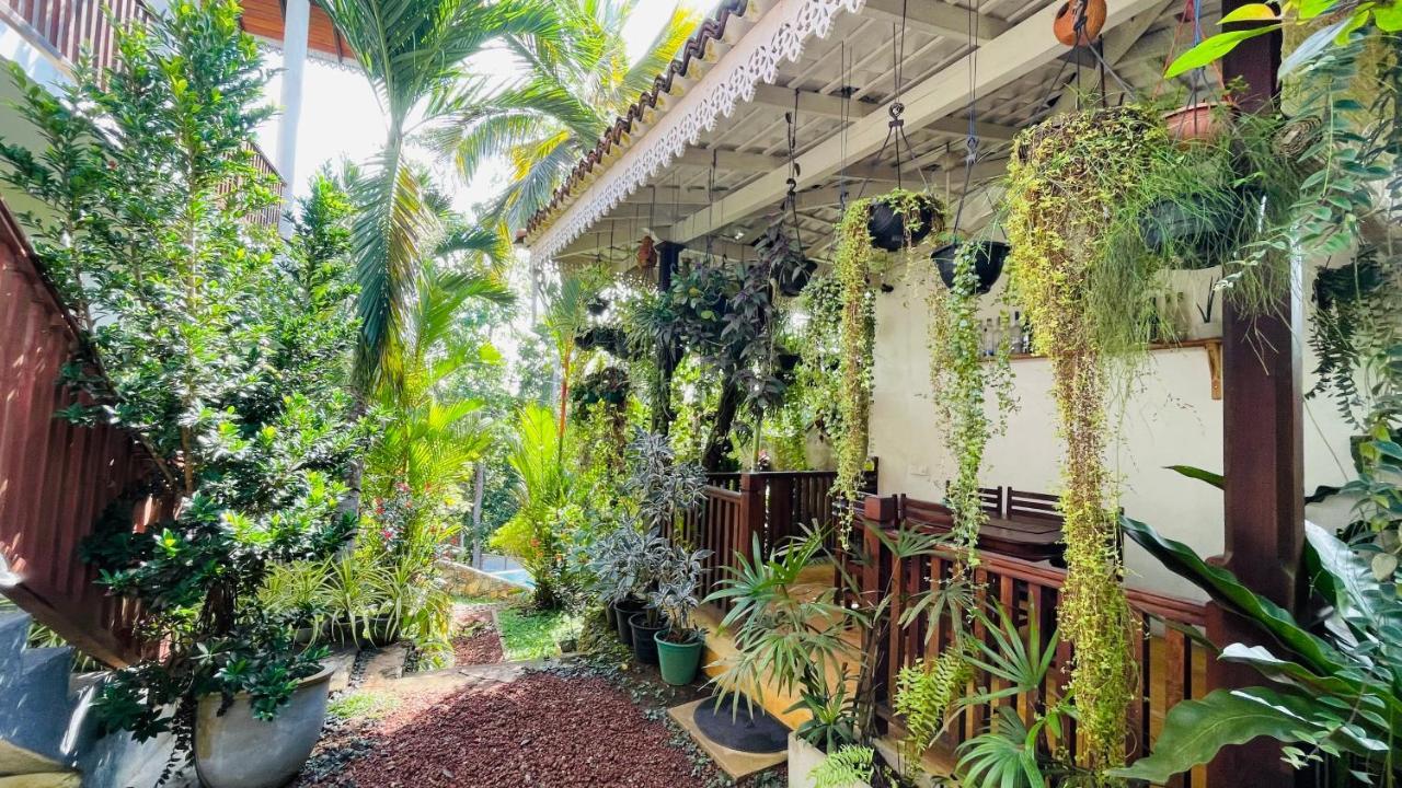 Bouganvilla House أونا واتونا المظهر الخارجي الصورة
