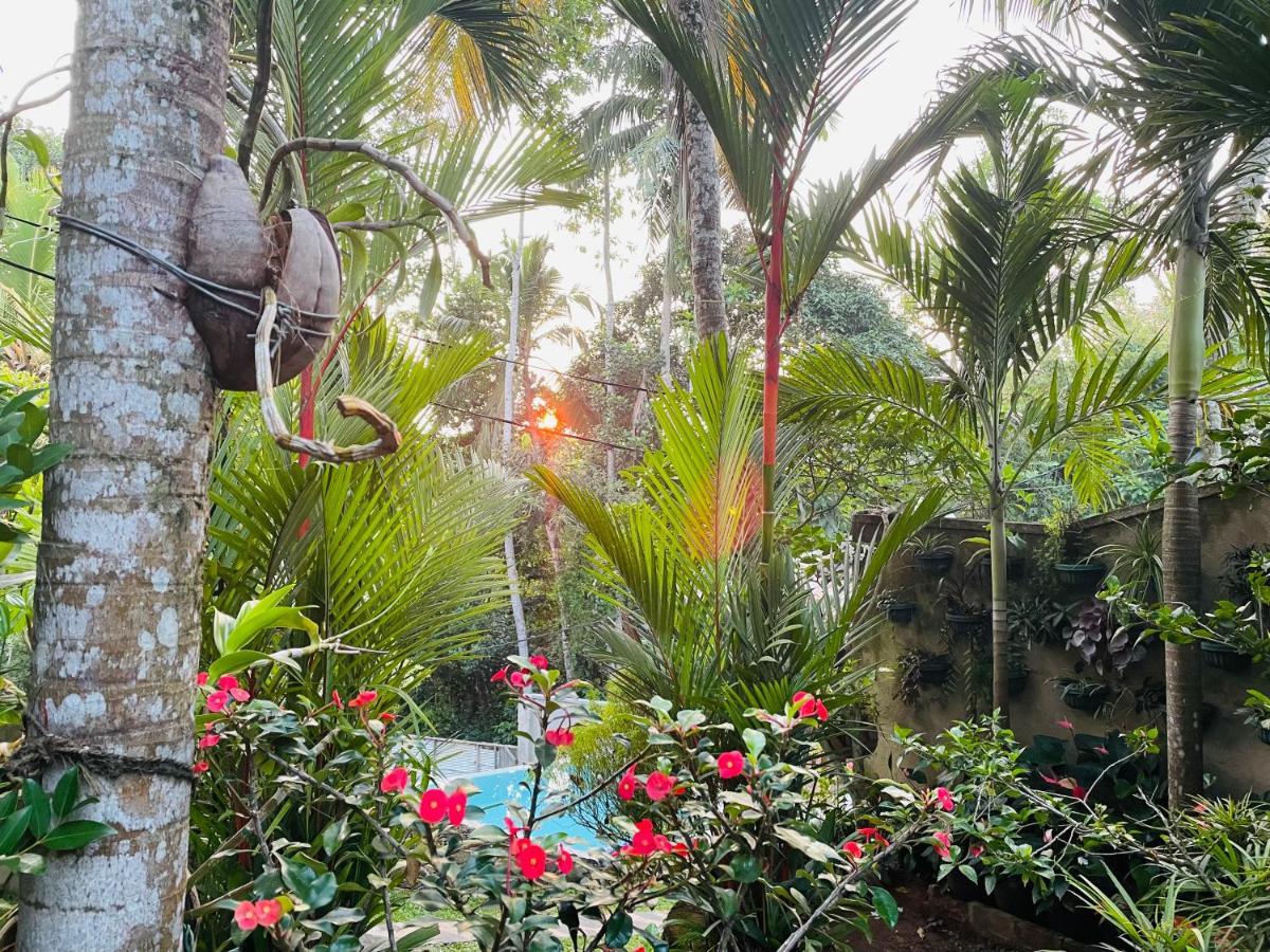 Bouganvilla House أونا واتونا المظهر الخارجي الصورة