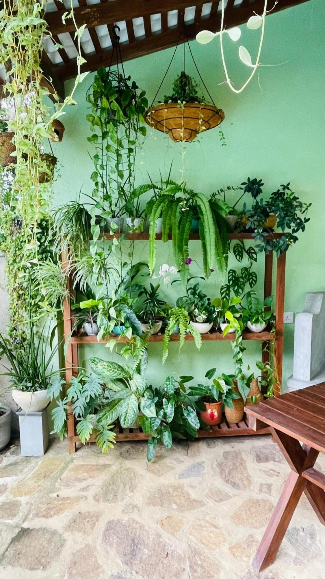 Bouganvilla House أونا واتونا المظهر الخارجي الصورة